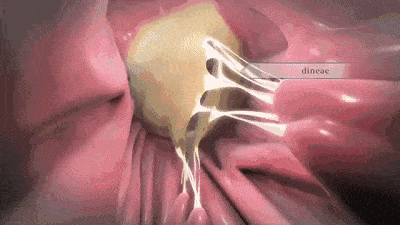 COD单页系统建站,联系QQ：494906791/微信：Cod_web